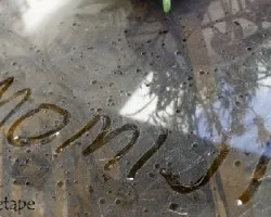 En mi patio