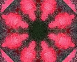 Rojos