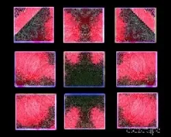 Rojos
