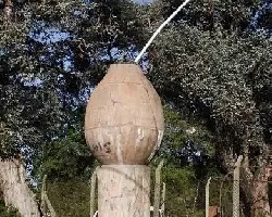Mate