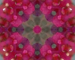 Un toque de color!!!