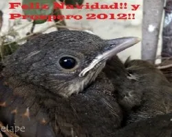 Felicidades!!!