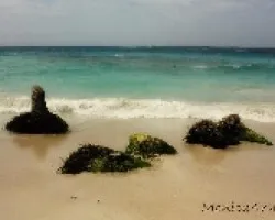 PLAYA BLANCA