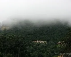 neblina en la montaña