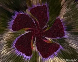 experimentando con photoshp