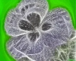 experimentando con photoshp