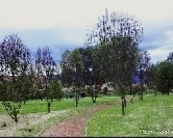 parque