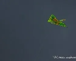 COMETAS
