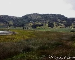 LAGUNA DE TOTA