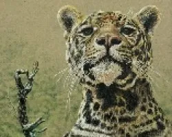 Jaguar Sur y Centroamericano
