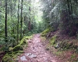 senda