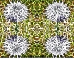 fracta + reflejo