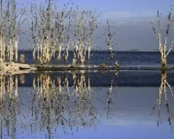 reflejo