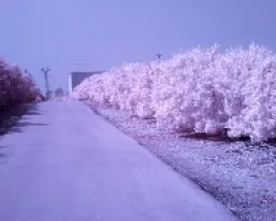 infrarrojos