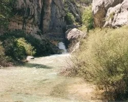 rio pitarque