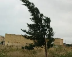 viento