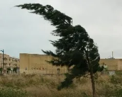 viento