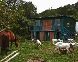albergue
