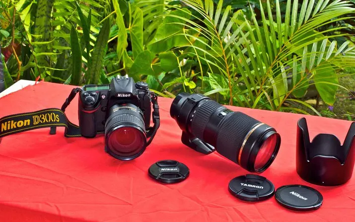 Foto