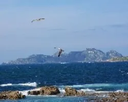 Islas Cies