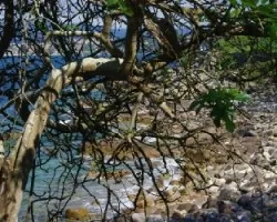 Playa en Baiona 