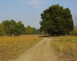 Estuario del Miño