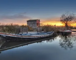 Amanecer con naranjas II.