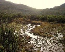 Aguas heladas