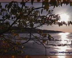 Puesta de sol iii