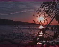 Puesta de sol ii