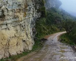 Caminos