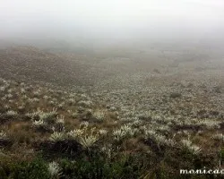 Una fabrica de agua