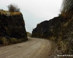 Caminos