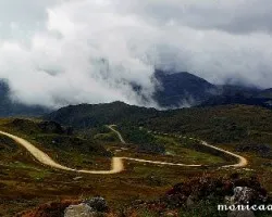 Caminos