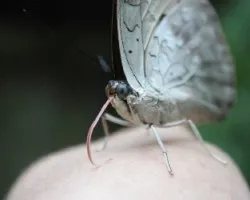 Sin titulo