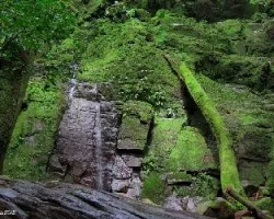 Hilos de agua