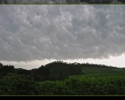 Viene la lluvia