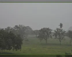 Llego la lluvia i