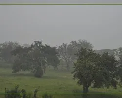 Llego la lluvia ii