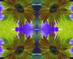 Flores ii