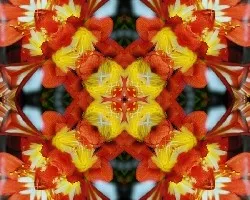 Naranja!!