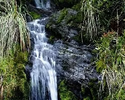 Nacimiento