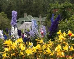 Flores variadas