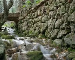 Agua