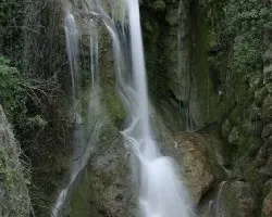 Agua