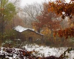 Hoy pisamos nieve