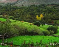 Una escena rural