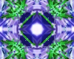 Invertidas