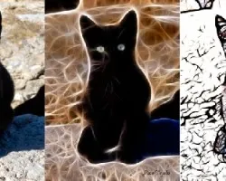 Doble fractal