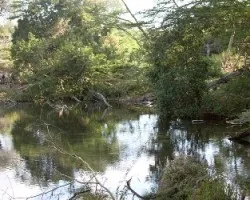 Reflejos1a